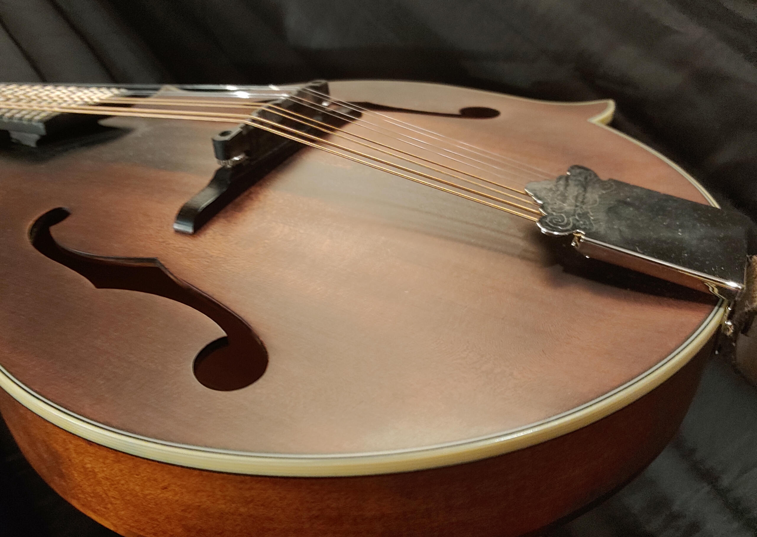 Cours de basse électrique